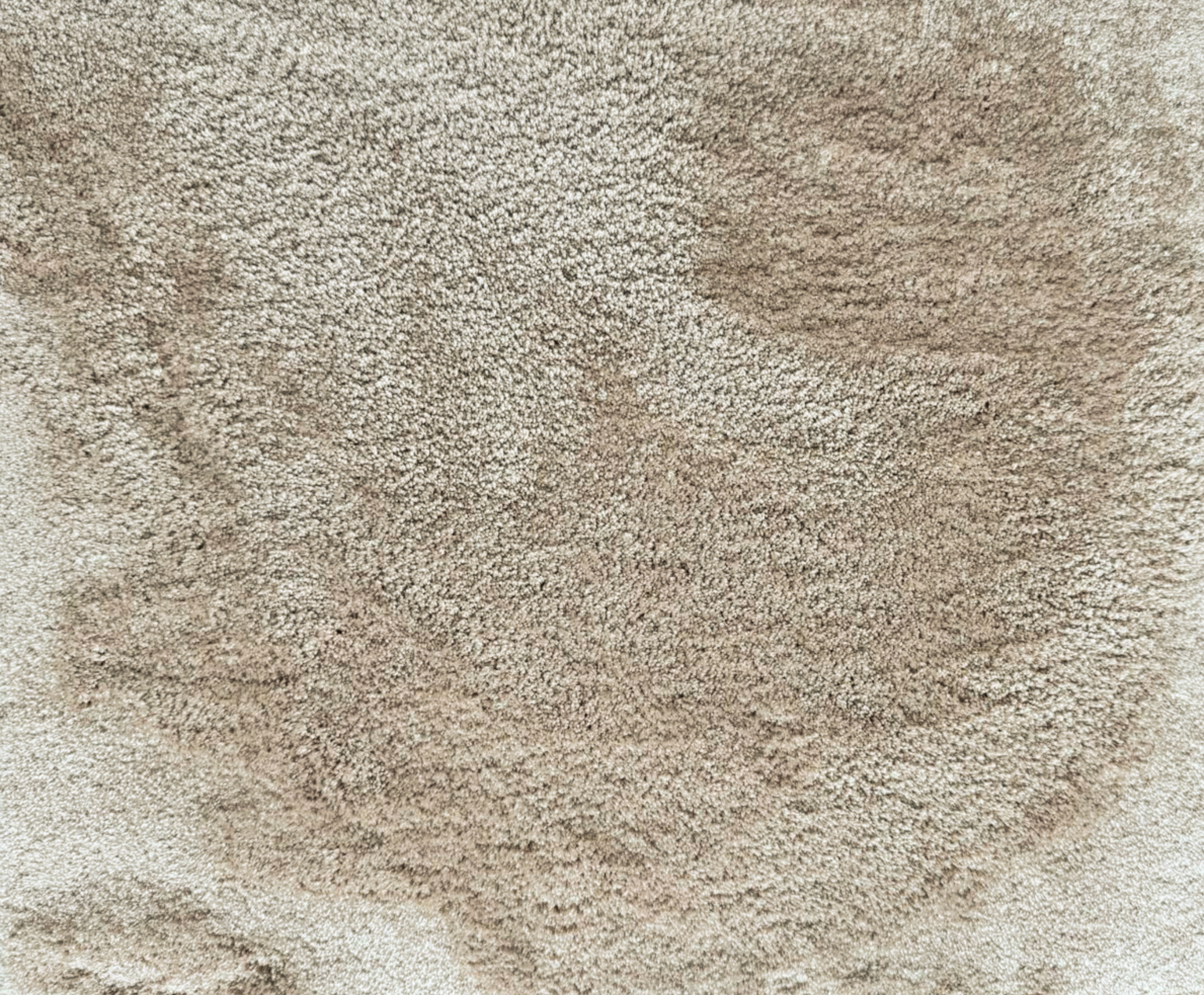 Tappeto — ambiente 4